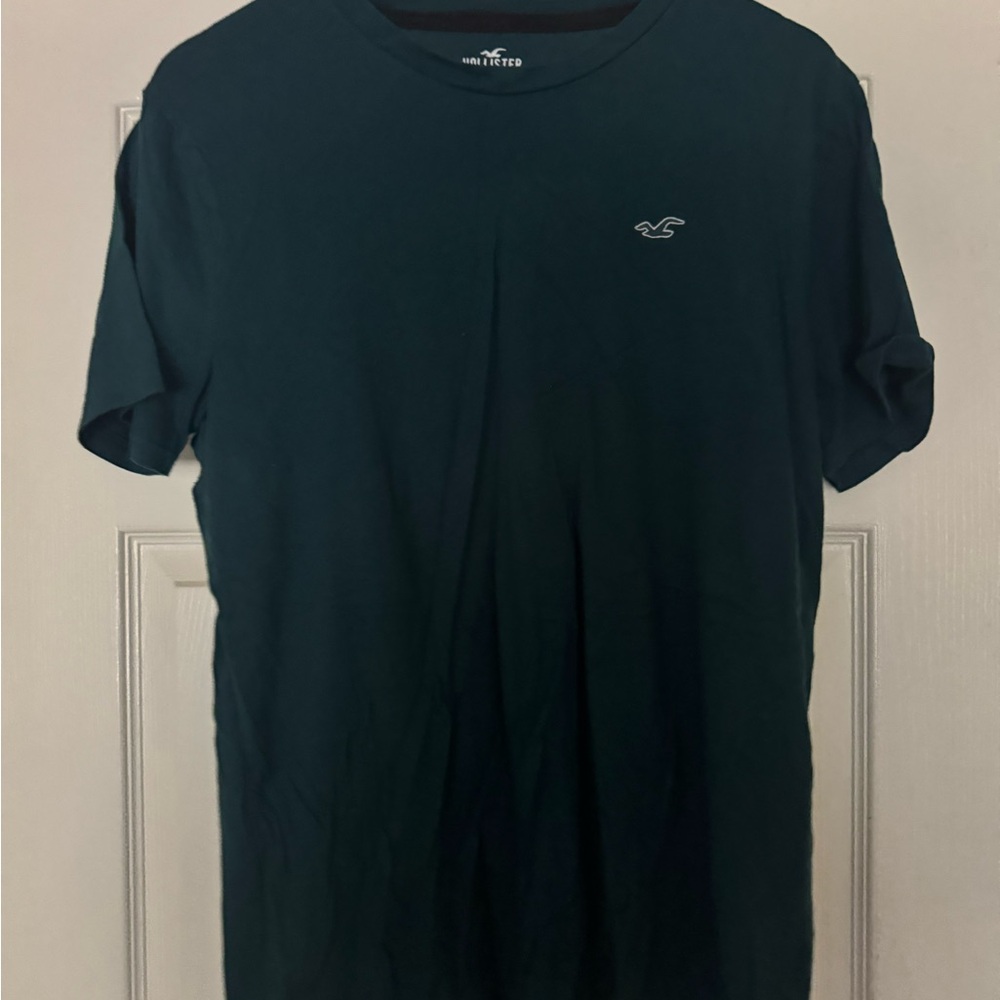 Hollister Men's Green T-Shirt-MENS LARGE